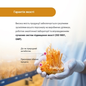 Кордицепс супер капс. 400мг №60