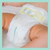 Підгузники Pampers Premium Care Maxi (9-14 кг) №18