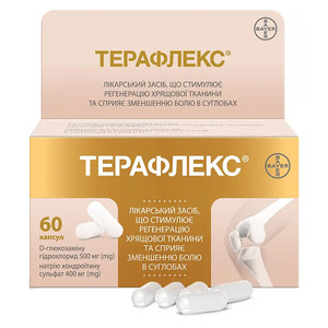 Терафлекс капсулы 60 шт. во флаконе
