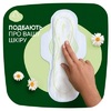 Прокладки Naturella Classic Camomile Night Single с крылышками №7
