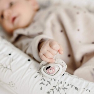 Пустышка Canpol 22/648 силиконовая симметричная BONJOUR PARIS 6-18 м 2шт розовая