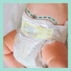 Підгузники Pampers Premium Care Maxi (9-14 кг) №18